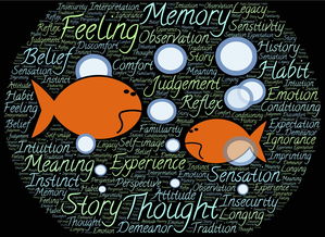 NBA球员情绪控制能力与技术犯规关系分析，nba2k情绪属性有什么用