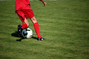 中国青少年篮球运动员伤病防控体系建设，青少年篮球训练现状分析